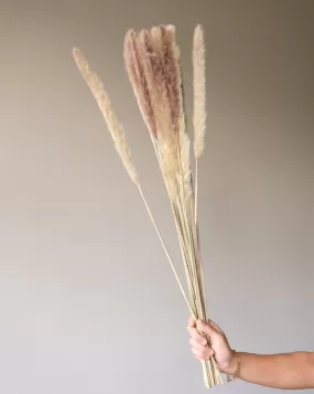 12 PCS - Dried Flowers Pink Fluffy Pampas